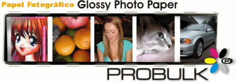 Papel Fotografico Premium Glossy Photo Bulk ink